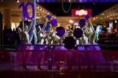 VESTUARIO-BAILARINAS-HADAS