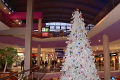 arbol-centro