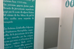 DECORACION-ACCESO-ASEOS-YOGURTERIA